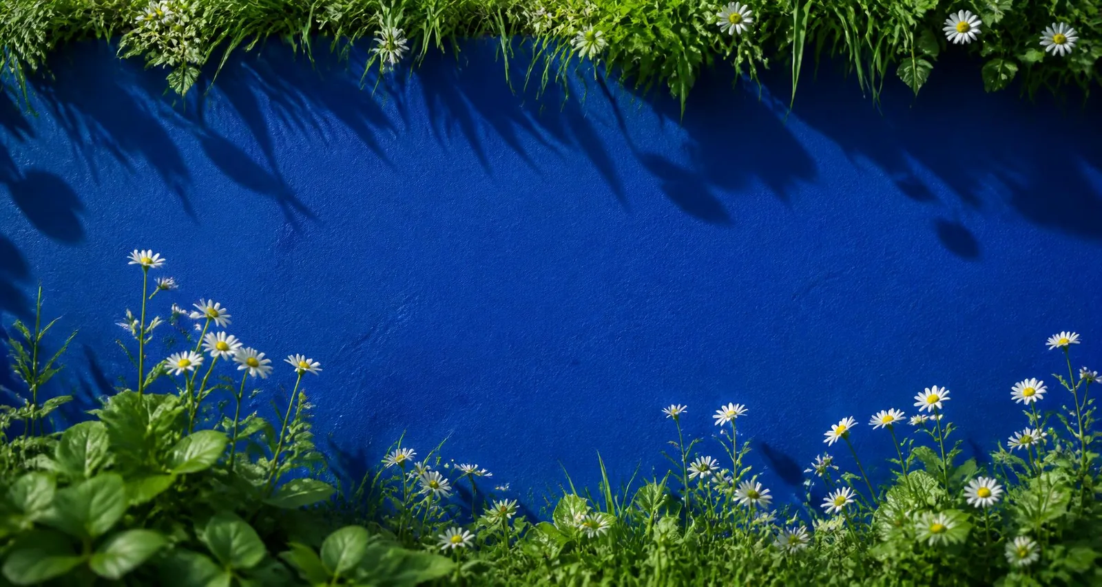 Lush green grass and white daisies framing a deep blue wall representing Aquola's environmental promise